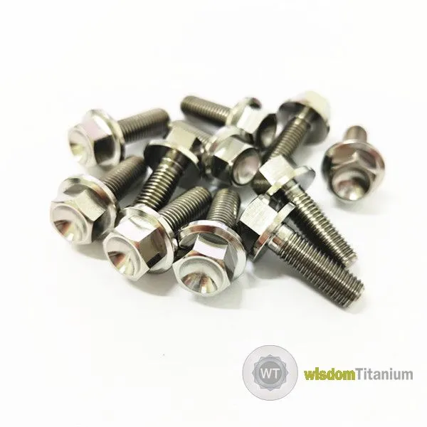 Titanium Hex Flange Bolt.jpg